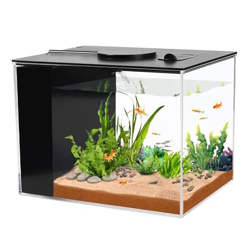 View of Affordable Aquarium Setup Kit for Goldfish: Top Picks for Beginners ...
