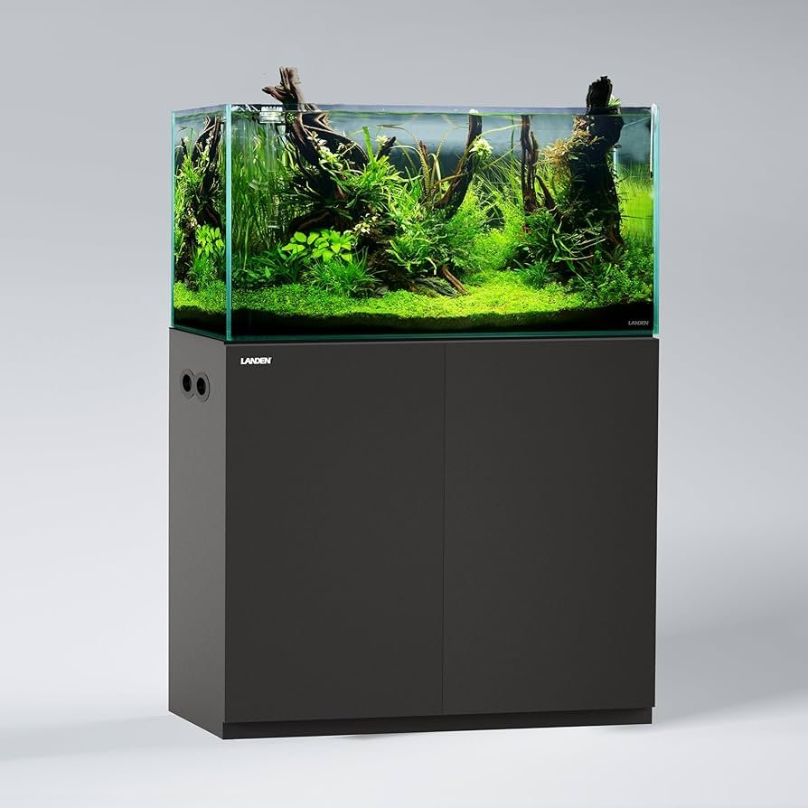 Aquarium Cabinet for Ornamental Fish Growth: Ultimate Care Tips ...