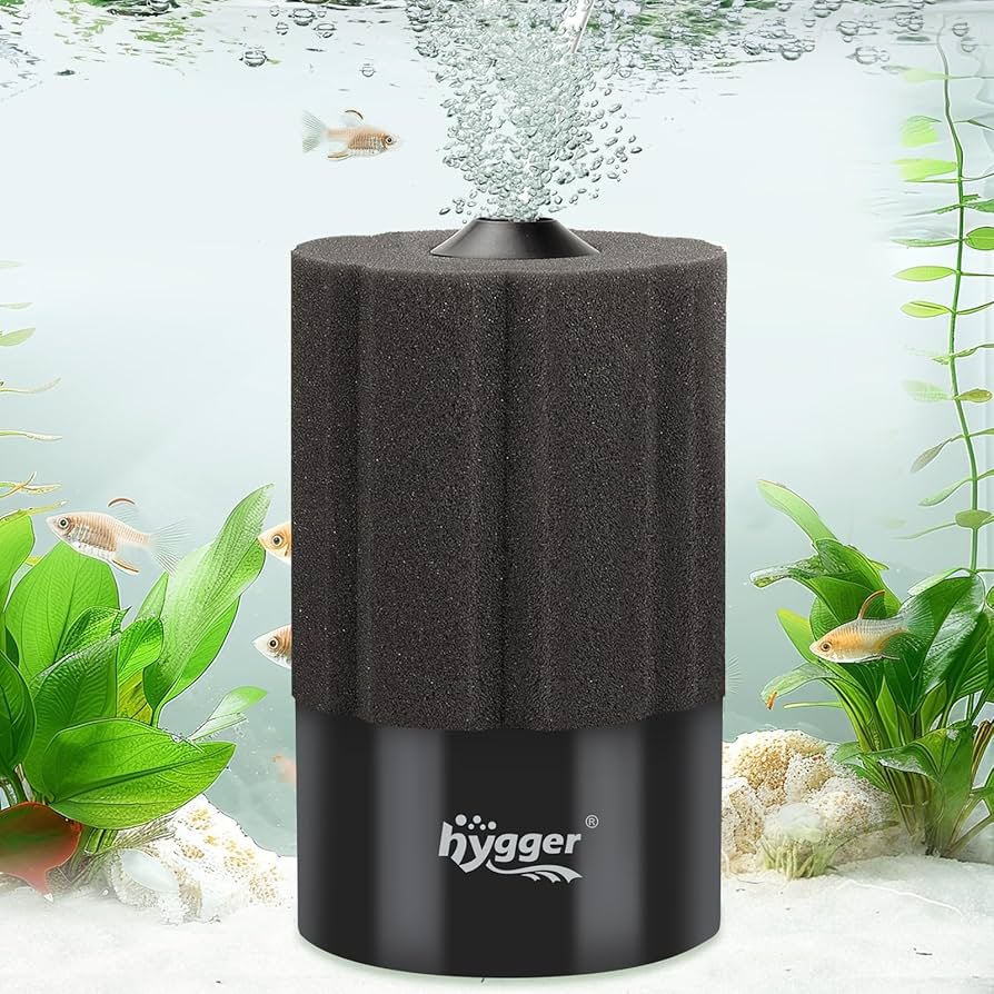 Aquarium Filter for Snails: Ultimate Guide to Clean, Clear Tanks - Top ...