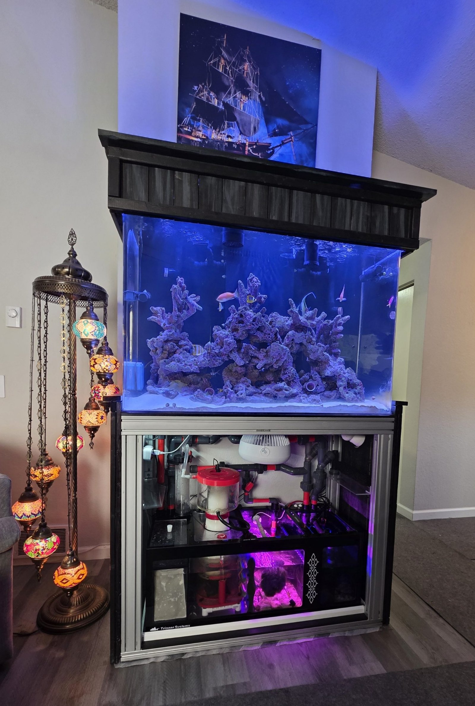 Curated visual reference: Picture Idea: Aquarium Stand For Large Saltwater Tanks Ultimate Strength Style
