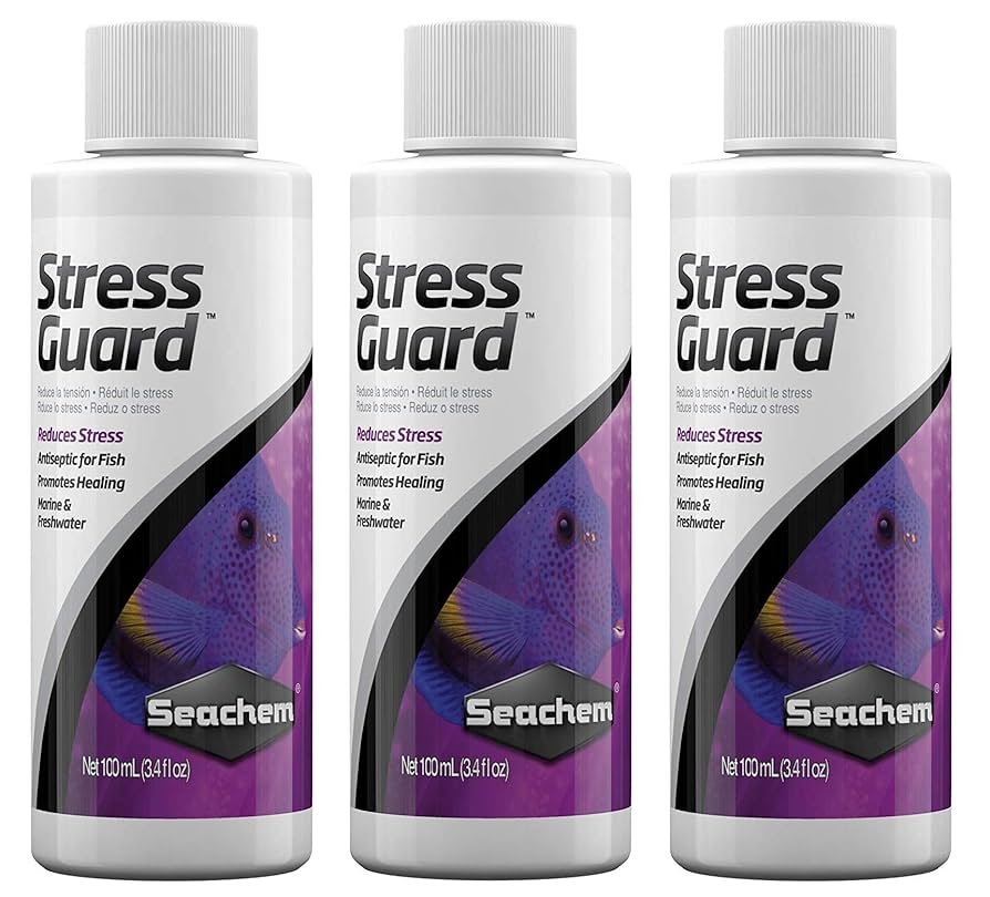 Curated visual reference: Picture Idea: Aquarium Water Treatments For Stress Relief Ultimate Guide To Calm