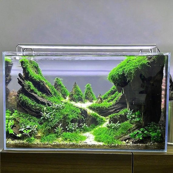 Visual idea from this collection