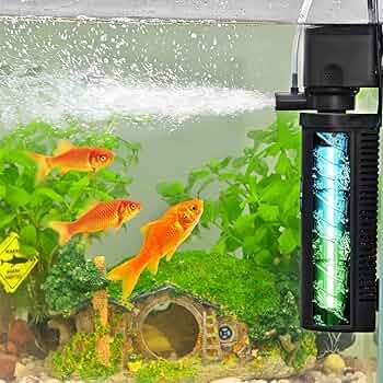 Best Filters for Goldfish Tanks: Top Picks for Crystal Clear Water ...
