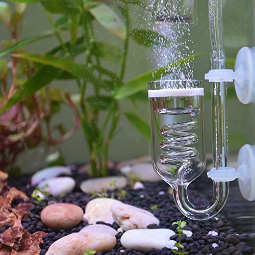 Photo inspiration: Picture Idea: Buy Aquarium Co2 Diffuser For Healthier Lush And Vibrant Plant