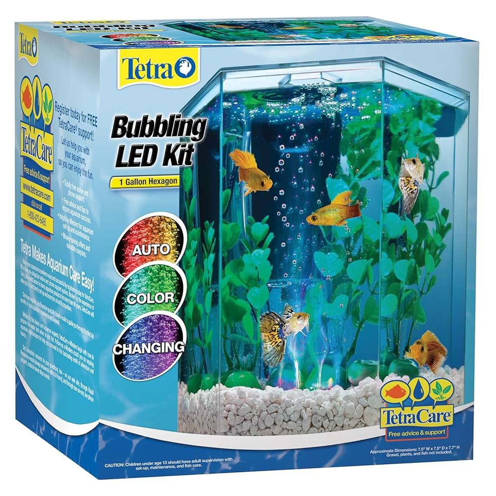 Ornamental Fish Tanks For Home photo