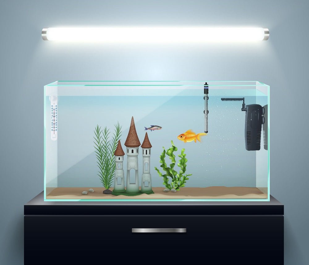 Image showcasing Fish Tank Setup for Small Spaces: Ultimate Guide for Compact Aquariums ...