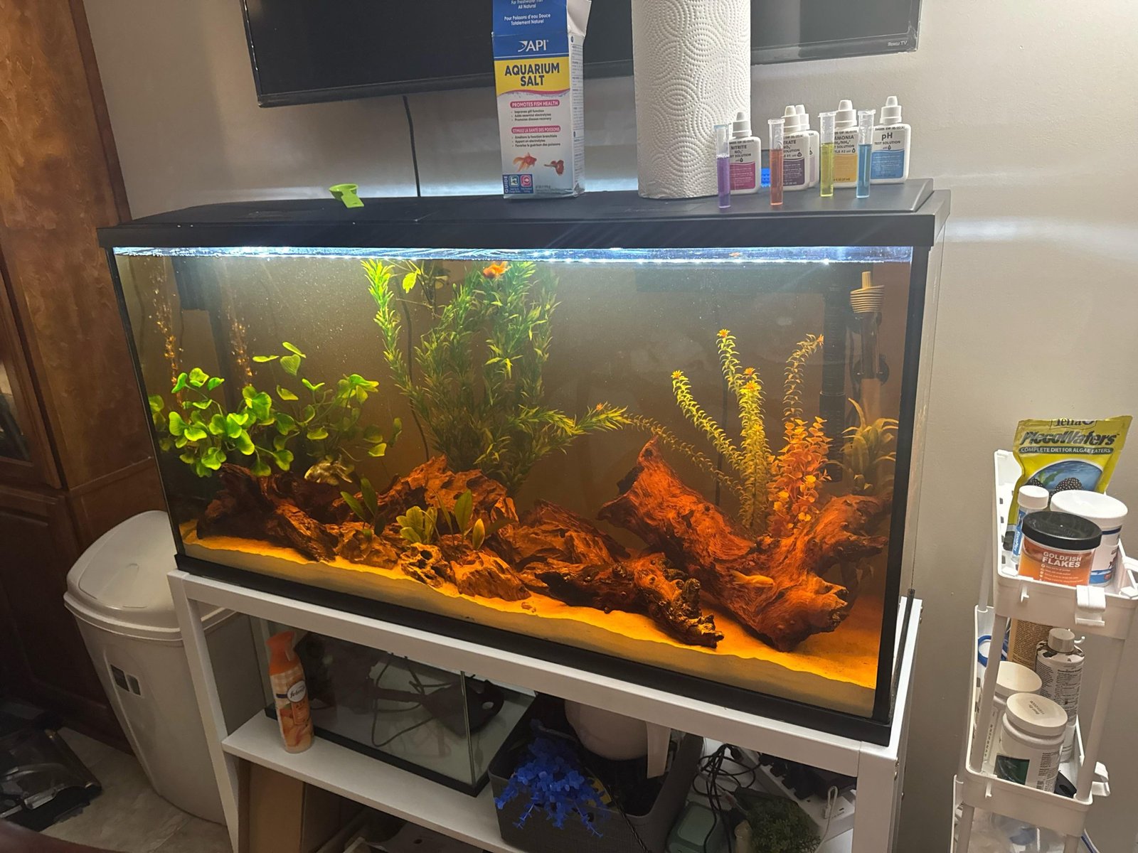 Fresh Look at Fish Tank Setup With Nitrate Monitoring Ultimate Guide For Healthy