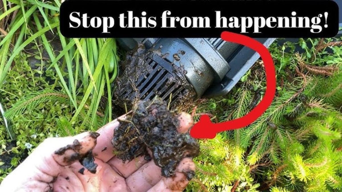Image showcasing How to Avoid Filter Clogging: Expert Tips for Lasting Performance - Top ...