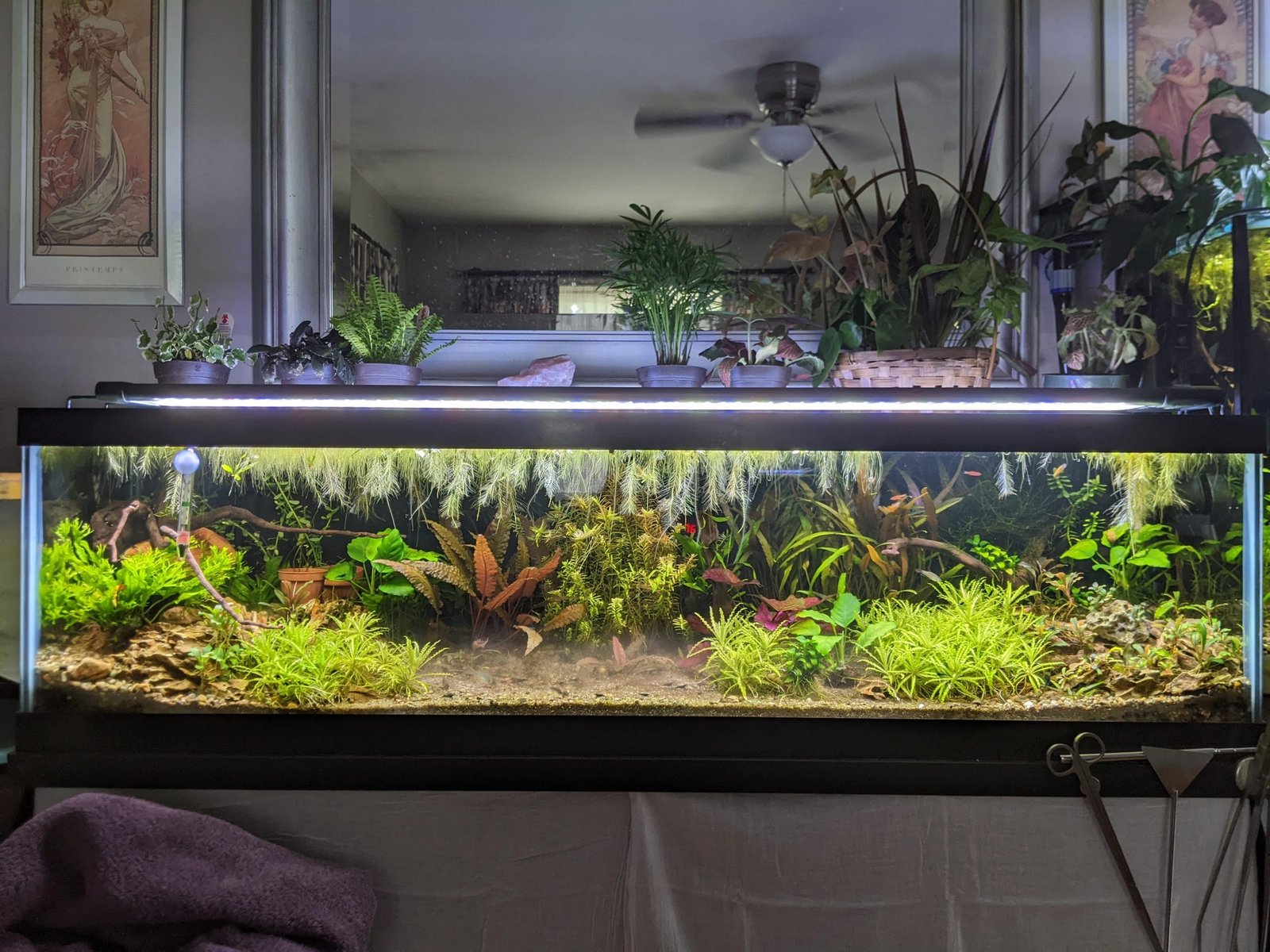 Photo inspiration: Fresh Look at Led Lighting For Low Light Aquariums Brighten Your Underwater World