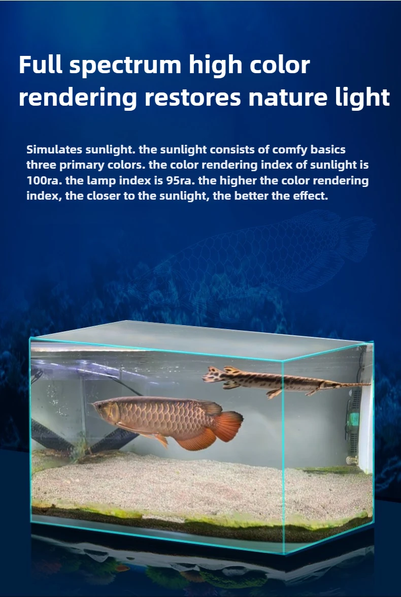 Led Lighting for Ornamental Freshwater Fish: Brighten & Thrive - Top ...
