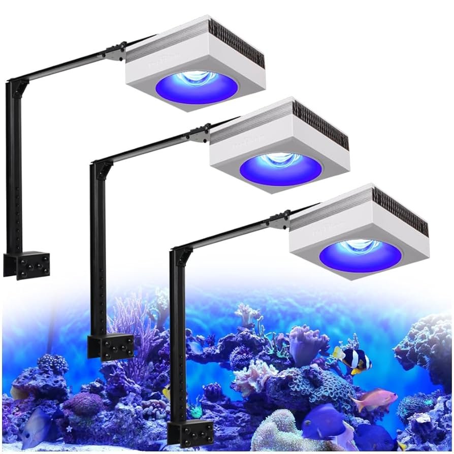 Led Lighting for Shallow Reef Tanks: Brighten Your Aquarium Perfectly ...