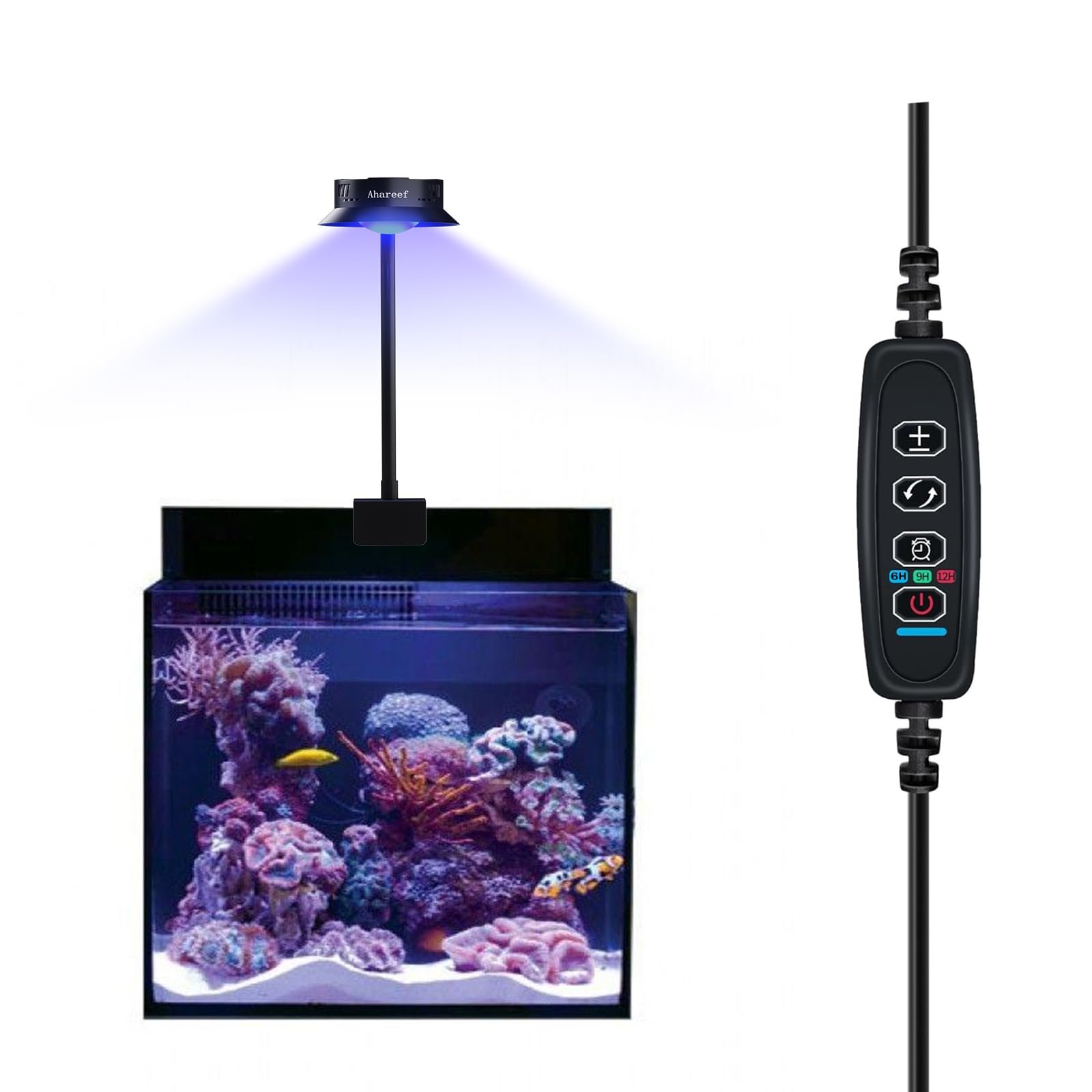 Lighting for Nano Reef Tanks: Ultimate Guide to Perfect Illumination ...