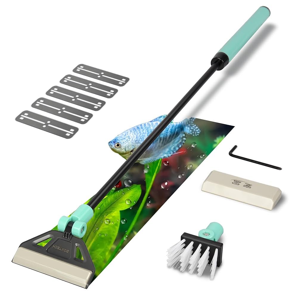 Tools for Removing Algae from Glass: Effective Solutions That Work ...